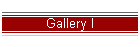 Gallery I