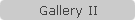Gallery II
